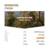 【超级咖啡】fisher巴拿马驴子庄园厌氧缓慢日晒瑰夏手冲咖啡豆