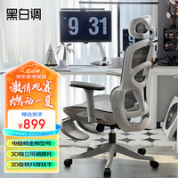 黑白调P2 Pro人体工学椅人工力学座椅电脑椅办公椅网椅老板椅电竞椅子 P2Pro霜白脚托(3D腰托+3D扶手)