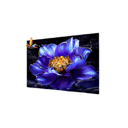 TCL 55V8H Pro 液晶电视 55英寸 4K