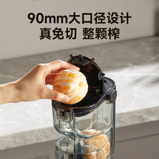  Westinghouse/西屋电气 低速压榨 原汁机