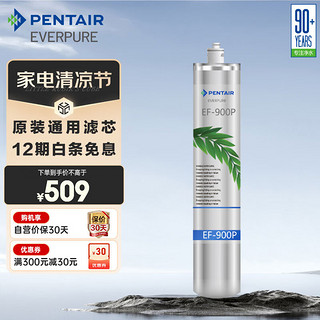 EVERPURE 爱惠浦 EF-900P 净水器滤芯