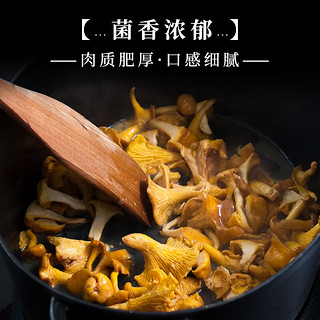 西云珍坊云南特产鸡油菌干蘑菇鸡油菌黄丝菌食用菌榆黄菇干货 鸡油菌50g