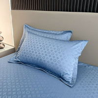 牧莎白 花防水枕套一对装加厚48x74cm枕芯内胆套家用单个枕头套防头油