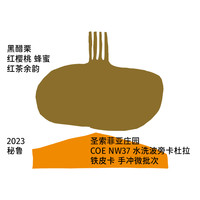 治光师 BEAM TIMER 橙汁 树莓 秘鲁瑰夏手冲咖啡豆阿拉比卡浅烘冷萃豆100g