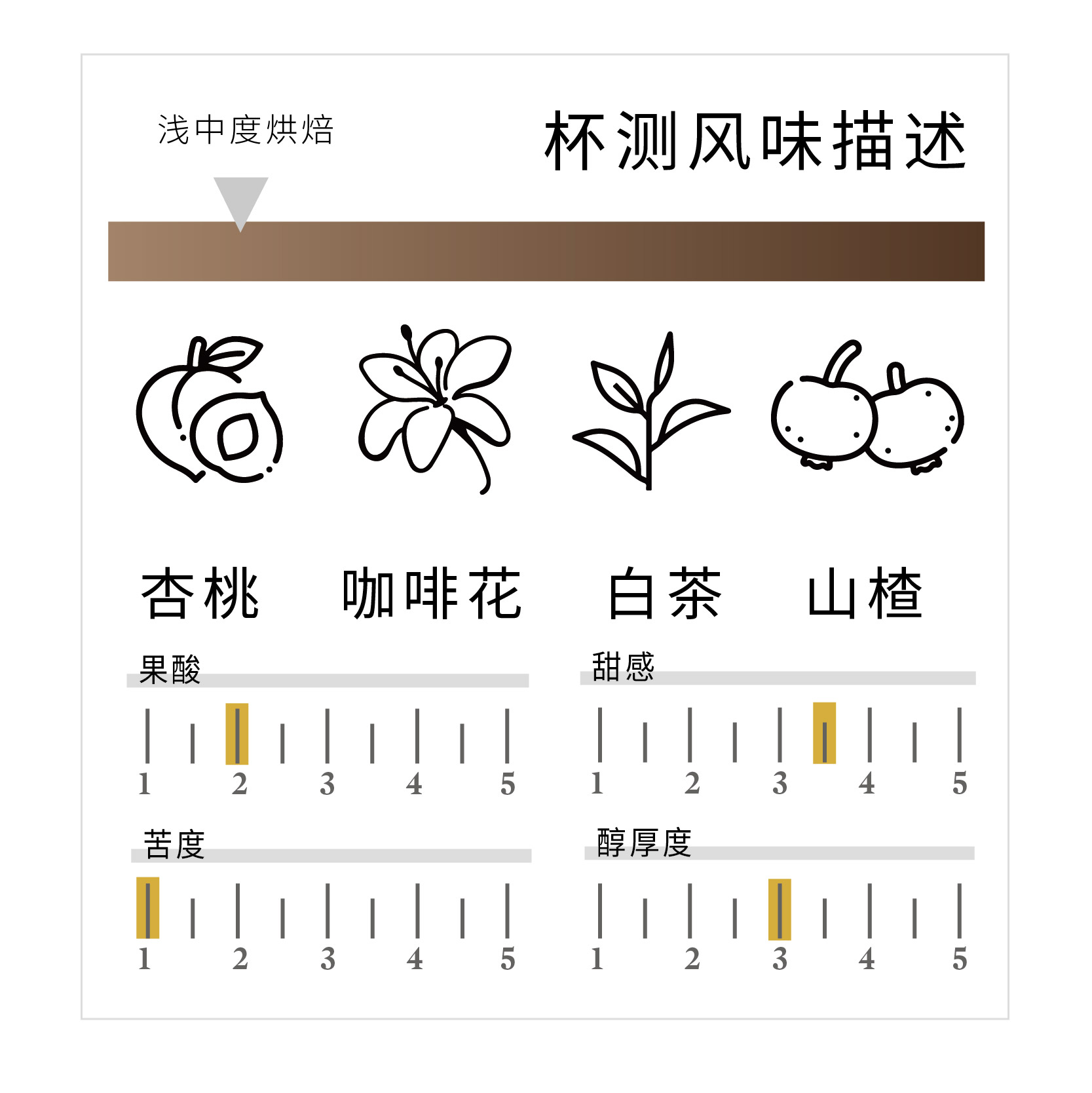 Torch炬点咖啡 秘鲁杏桃白茶水洗瑰夏 手冲精品咖啡豆