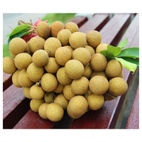 乌岽山 新鲜现摘品质龙眼 顺丰发货 净重4.5斤
