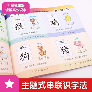 学前识字300入门版+读书笔记本全套2册 幼小衔接阶梯教程幼小衔接一日一练整合教材幼儿园中班大班识字幼升小宝宝认字学前教育读物