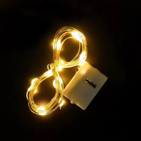 可狄Led满天星鲜花拉菲草装饰灯串彩色暖白氛围灯 1米暖色