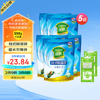 Greensky 绿驰 悬挂式除湿袋 250g*5袋