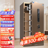 虎圣保险柜 家用办公保险箱 全钢防盗大型保管柜 100cm单门 触控密码解锁 睿智咖 高1米-睿智咖
