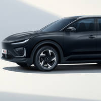 NETA 哪吒汽车 X 25款 501km 500 行业版