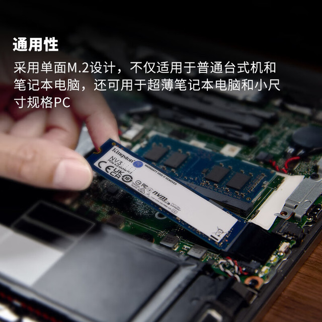 Kingston 金士顿NV3 NVMe M.2 固态硬盘1TB（PCI-E 4.0） 【报价价格