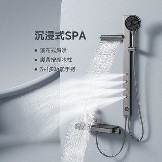 WHALE SPOUT 小鲸洗 V系列 WSST-24JVN1G 淋浴花洒套装 净享冷热版
