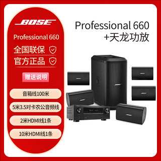 Bose/博士 Professional 660家庭影院 5.1家庭影院套装 前置+中置+环绕+超低+天龙功放