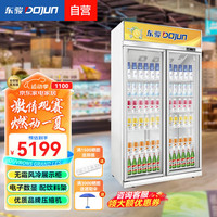 DOJUN 东骏 冰柜展示柜冷藏保鲜柜 商用无霜冰柜立式冷柜配饮料架超市便利蛋糕店两门风冷展示柜LG-1100LW