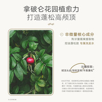 T8 幻享 洗发水控油蓬松无硅油洗护旅行装50ml*2