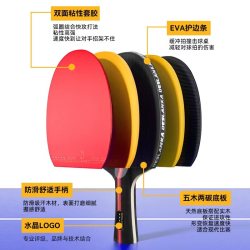 帝斯蓝卡 乒乓球拍五星初学者双拍儿童小兵乓球拍专业级