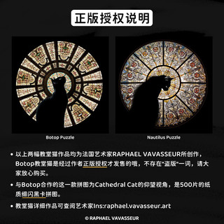 botop拼图Cathedral Cat教堂猫1000片黑卡闪光膜成人减压玩具 简约黑框+教堂猫
