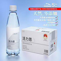 HORIEN 活力恩 5°C 5°C活力恩 克东天然苏打水 500ml*15瓶