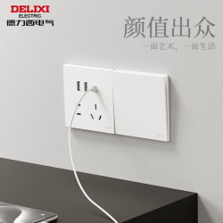 DELIXI 德力西 开关插座面板 CD295系列 斜五孔插座
