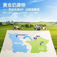 【U先】法优乐宝宝常温酸奶营养奶酪棒儿童A2-β酪蛋白钙锌牛奶