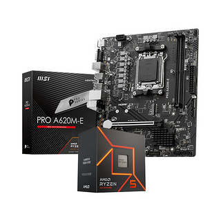 AMD 板U套装 微星 PRO A620M-E 主板 AMD 散片 R5 8600G