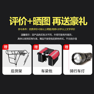 飞鸽（FLYING PIGEON）飞鸽山地自行车成人男女变速青少年中小车越野户外骑行赛单车 【铝合金】G8002代-十刀轮-灰色 24寸轮组（适合145-170cm） 24速标准版 【铝合金版】G800-三刀轮-高档灰