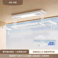 金贵 PRECIOUSLADY 金贵夫人 A5-H 智能晾衣架 210cm 月牙白