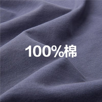 佐丹奴长袖T恤女秋季上新纯棉卫衣布织标开叉圆领上衣女13324705
