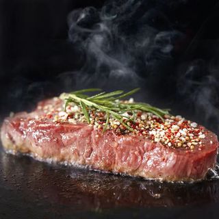 百隆盛整切眼肉牛排厚切牛肉菲力牛排牛扒肉低卡餐生鲜整箱 整切菲力牛排 净重100g*5片装