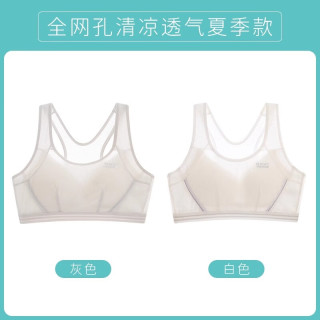 ZYZART少女文胸高中生15到18岁发育期女童内衣12-16岁初中生背心17 【夏季网孔款】白色+浅灰 2XL【适合120-135斤】