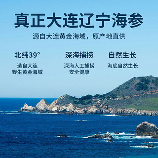 三只海豚海参干货大连国标野生淡干海参辽参50g