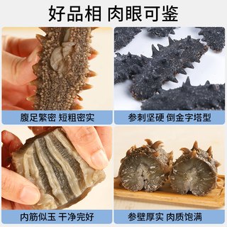 三只海豚海参干货大连国标野生淡干海参辽参50g
