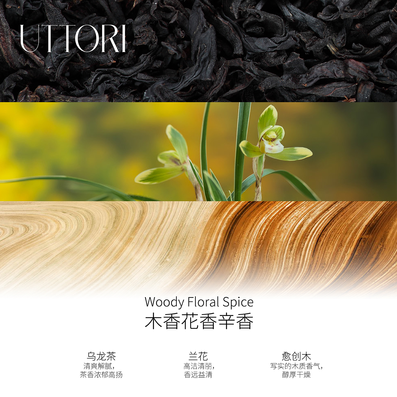UTTORI五朵里鸭屎香香水18ml岩茶凤凰单丛乌龙茶茶香小众沙龙