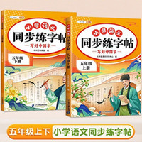 斗半匠 五年级上册字帖 五年级下册语文同步练字帖 小练字帖每日一练 硬笔字帖生字笔画练习（2册） 练字帖（上+下）