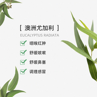Puressentiel璞医香法国澳洲尤加利单方桉树精油通鼻顺畅呼吸香薰