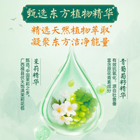 立白 Liby青提茉莉洗洁精小瓶宝宝餐具可洗洁净不伤手店