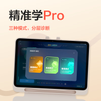 学而思网校 精准学Pro经典2024(11.45英寸 8+256)