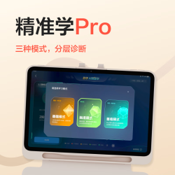 Xueersi Online School 学而思网校 精准学Pro经典2024（11.45英寸 8+256）
