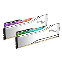 G.SKILL 芝奇 皇家戟系列 Trident Z5 Royal 288-Pin PC RAM DDR5 台式机内存 48GB (2 x 24GB) 8400MHz银色 CAS Latenc