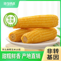 珍谷诱惑 24年东北黄糯玉米 180g*10穗