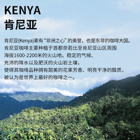 鹿家嘴埃塞俄比亚耶加雪啡浅度/中度烘焙单品手冲咖啡豆200g