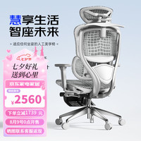 有谱慧眼  人体工学椅电脑椅子舒服久坐办公座椅电竞椅 慧眼A 灰框灰网+脚踏 网布