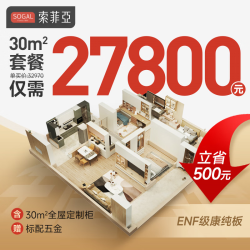 索菲亚 全屋30㎡套餐 衣柜卧室家具衣帽间 餐边柜入户门厅柜定做柜子 30㎡全屋套餐