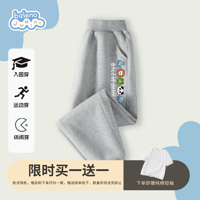 灰/BN动物K