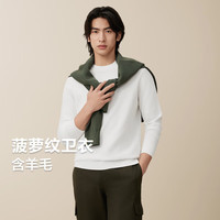 红豆（Hodo）针织衫男圆领含羊毛菠萝纹男士毛衫24秋季休闲打底衫 舒弹轻薄-W1层云白 175/96B【130-145斤】