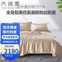 太湖雪全真丝夏凉被桑蚕长丝空调被大尺寸被套可拆洗丝韵 典雅金 200*230cm