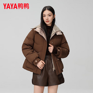 鸭鸭羽绒服鸭鸭（YAYA）羽绒服女短款2024年冬季时尚针织拼接假两件翻领保暖外套ZX 咖色 160/84A(M)