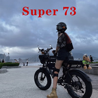 BEHEE 巴赫 super73 电动车越野电动自行车山地自行车电瓶车成人复古助力车 Y1标准版-20安+5纯电约55公里