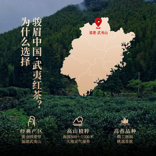 正山堂小种红茶武夷红茶 冷泡茶2024新茶 骏眉中国产区系列 武夷山茶叶 50克